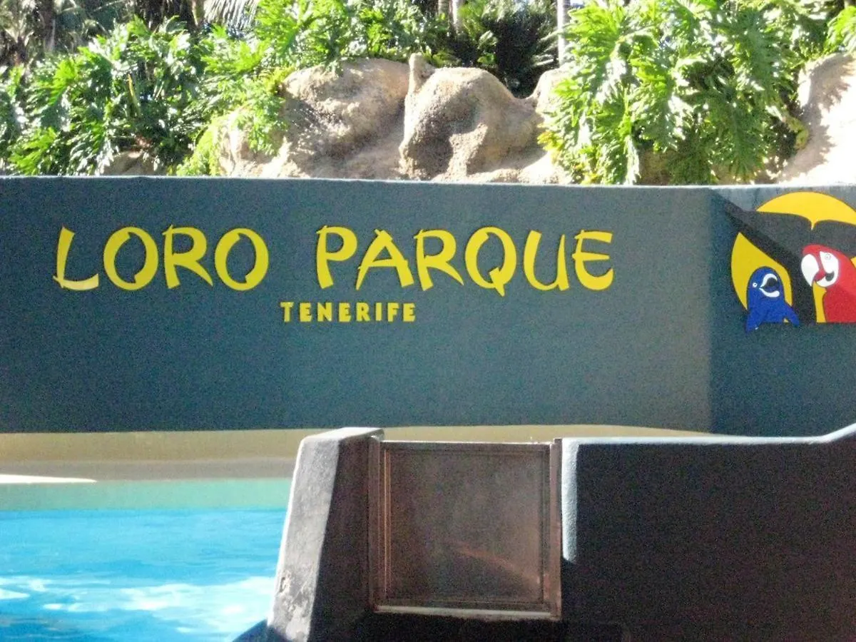 Modern Apartment In Adeje, 65 Sqm, Year-Round Pool Costa Adeje  0*, Costa Adeje (Tenerife) Spain